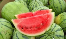 瓜爆料入口51cg吃瓜视频,揭秘娱乐圈最新瓜料，带你领略幕后风云