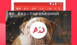 娱乐吃瓜模板素材视频,跟随素材视频，一探明星幕后吃瓜大揭秘！