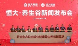 最新恒大爆料新闻事件,债务危机再升级，内部重组引关注