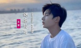 王源追光爆料视频,揭秘青春偶像的追梦历程