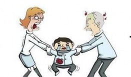 石家庄警方最新爆料,重大案件侦破背后的故事