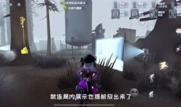 第5人格国服最新爆料,神秘角色登场，游戏玩法再升级！