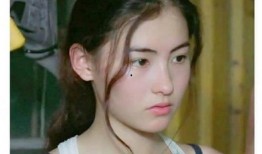 王海鑫爆料张柏芝视频,真相与争议