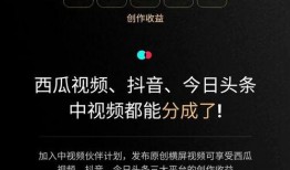 抖音计划爆料怎么做视频,跟随计划爆料，轻松打造热门内容