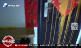 河南都市爆料直播视频,揭秘城市生活百态