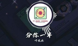 抖音爆料歌曲大全视频播放,揭秘爆款音乐背后的故事