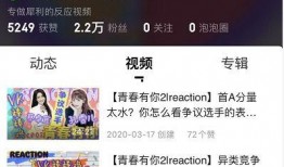 人机少女独家爆料视频,揭秘未来科技与人性边界