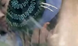 青蛇在线高清在线观看,重温经典，高清在线重温绝美传奇