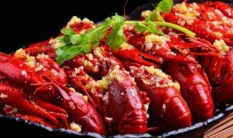 《龙虾》在线观看,一场关于爱情与自由的奇幻之旅