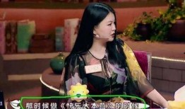 爆料缅北明星视频大全,一场视觉与道德的碰撞