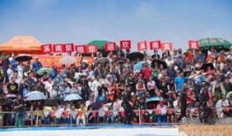 南溪新闻爆料,揭秘当地热点事件背后的真相