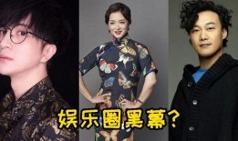 盘点金星爆料娱乐圈黑幕,金星爆料惊人黑幕，行业真相令人震惊