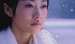 女明星七天爆料视频播放,揭秘娱乐圈幕后真相