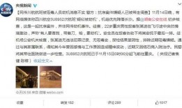 厦门航班爆料事件最新,揭秘航班不为人知的幕后真相