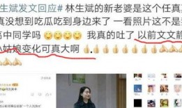 文文集团最新爆料,揭秘企业神秘面纱背后的故事