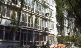 石家庄八一小区爆料视频,揭秘小区内幕事件