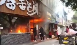 阜新饭店爆料视频大全,揭秘餐饮行业背后的故事