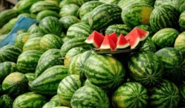 网红吃瓜七组,揭秘娱乐圈幕后真相