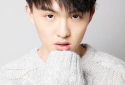 郑伟爆料视频播放全集下载,揭秘事件真相全貌