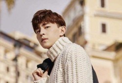 娱乐爆料晏紫东视频大全,娱乐爆料背后的精彩瞬间