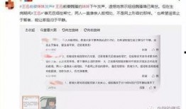 网络爆料前妻视频大全,前妻私密视频大全引发热议