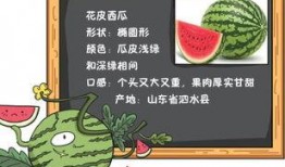 生日吃瓜记小说免费阅读,一场意外的瓜界盛宴