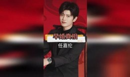 任嘉伦老婆最新爆料,揭秘明星夫妻甜蜜日常与育儿经