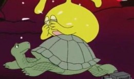 海龟爸爸爆料视频大全,揭秘幕后故事与精彩瞬间