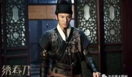 锦衣卫电视剧在线观看,宫廷秘境，热血江湖
