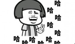 爆料了搞笑视频素材,搞笑视频素材盘点，笑点满满，欢乐无限！