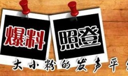 新闻爆料 媒体,媒体揭秘重大新闻事件背后真相