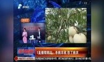 河南都市爆料直播视频,揭秘城市生活百态