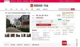 四川法拍最新爆料,揭秘神秘资产竞拍背后的故事