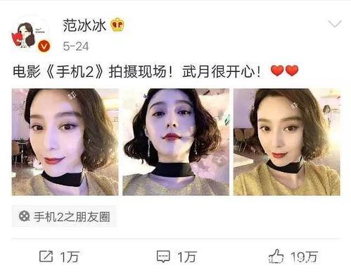 娱乐圈忠实吃瓜会员,忠实吃瓜会员的年度大放送！